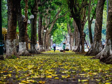 thời tiét hà nội